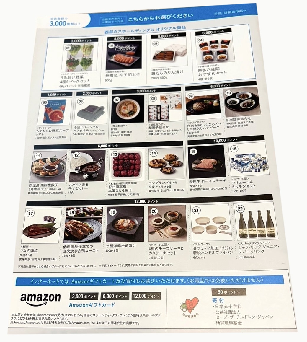西部ガスホールディングスの株主優待で実際に届いたプレミアム優待倶楽部の商品案内の写真